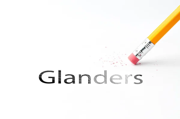 Crayon avec gomme Glanders — Photo