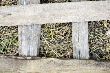 eski yönetim kurulu