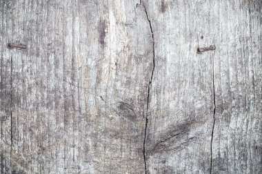 eski yönetim kurulu