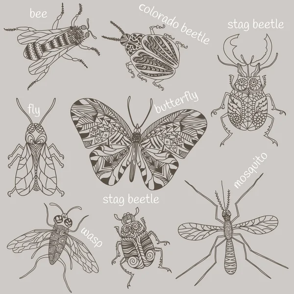 Insekter. Bee. Skalbaggar. Mygga. — Stock vektor