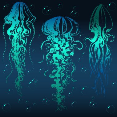 Hand drawn jellyfish
