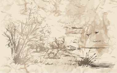 Avcılık. Manzara. Mus.