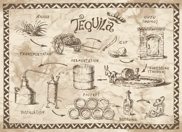 Progetto tequila — Vettoriale Stock