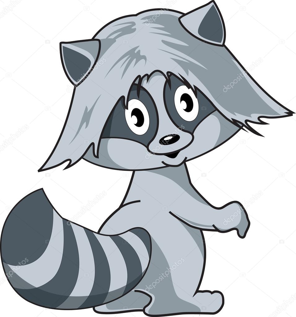 Cute raccoon