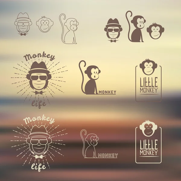 Illustration vectorielle. Logos de singe ensemble. Le "petit singe" - écriture . — Image vectorielle