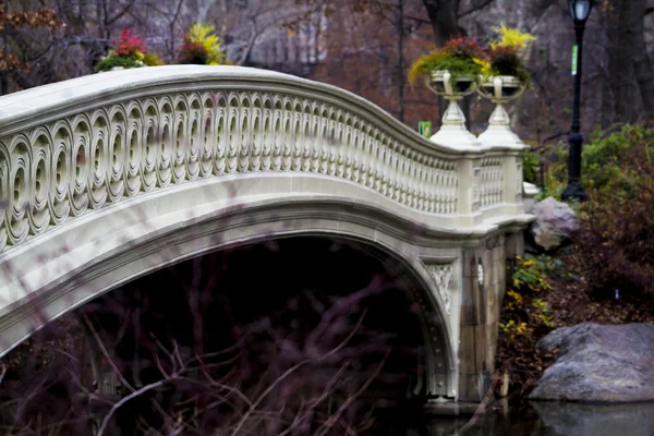 Central Park'ta köprü.