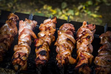 Kömürlerin üzerinde shashliks