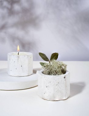 Beyaz arka planda beton bir şamdanda yanan soya kokulu mumlarla oluşturulmuş yaratıcı bir kompozisyon. Çevre dostu. Çok doğal. Kurumuş çiçekler, yosun. Duvardaki gölgeler. Minimalizm.