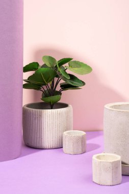 Beton bir şamdanda yanan soya kokulu mumlar ve gri arka planda kurutulmuş çiçek saksısı olan yaratıcı bir kompozisyon. Çevre dostu. Çok doğal. Duvardaki gölgeler. Minimalizm.