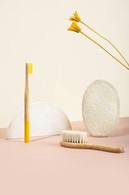 Modern natürmort. Isometric diagonal projeksiyon. Geometrik beton şekiller. Sarı kurutulmuş çiçekler. Sıfır atık. Çevre dostu, sürdürülebilir yaşam tarzı