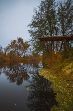 Sonbaharda ormandaki büyük nehir manzarası