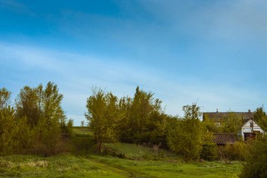 Ormanın yakınındaki yol ve telefon.