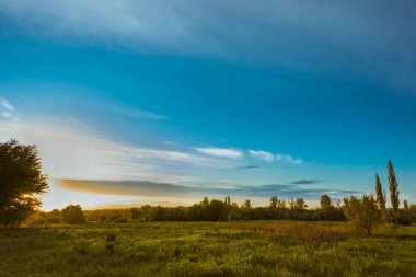 Tarlada harika bir gün batımı