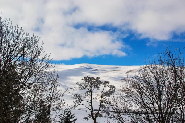 Nature of highlands lago-naki — Stock Photo, Image