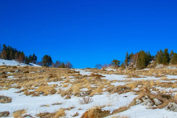 Naturaleza de las tierras altas Lago-Naki — Foto de Stock