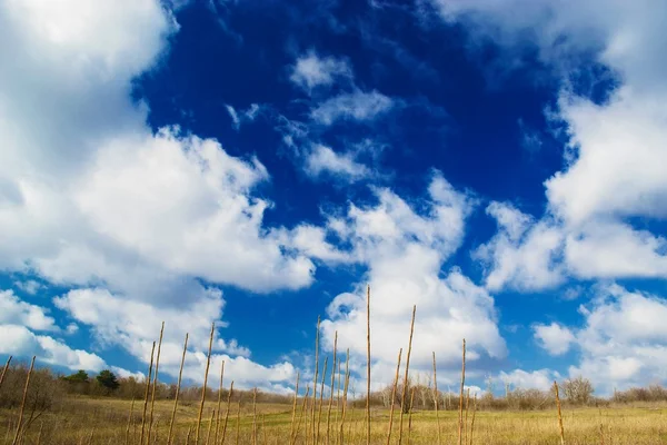 Paisagem do céu azul — Fotografia de Stock