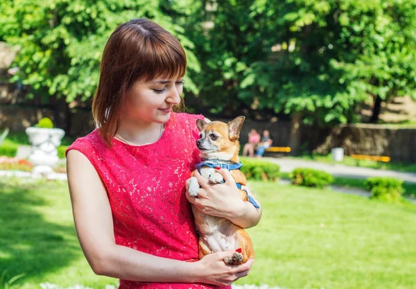 Porträt eines Mädchens mit Hündchen in den Händen — Stockfoto