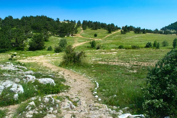 Wanderweg auf einem Plateau — Stockfoto