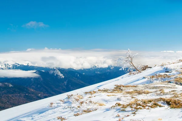 Snow-capped mountains — Stock Photo, Image