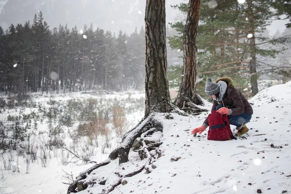 Viajero en el bosque — Foto de Stock