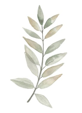 Yeşil suluboya yaprak çizimi