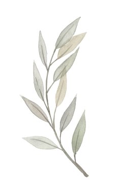 Yeşil suluboya yaprak çizimi