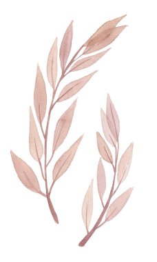 Yeşil suluboya yaprak çizimi