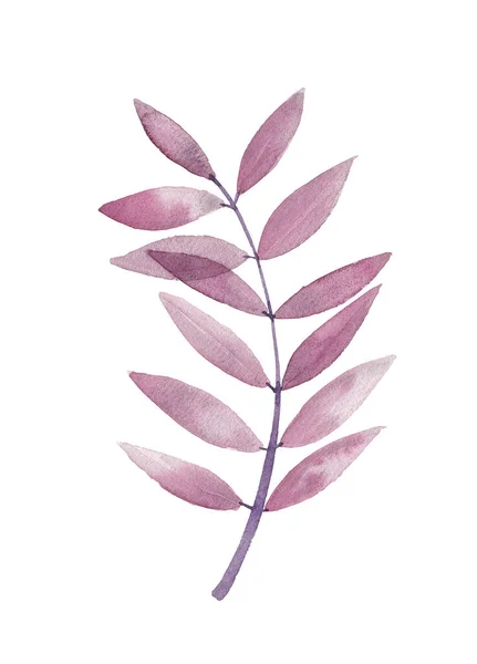 Violet Watercolor Isolated Hand Drawing Leaves — 图库照片