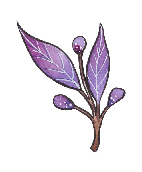 Handgezeichnete Aquarelle Violette Zweige Blätter Und Knospen Isoliert Auf Weißem — Stockfoto