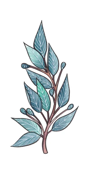 人工绘制的水彩画蓝色和绿松石小枝 叶子和芽 白色背景隔离 — 图库照片