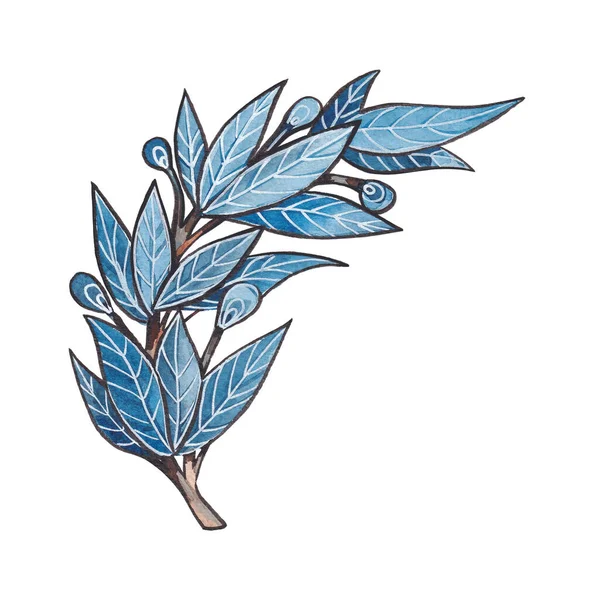 Ręcznie Rysowane Akwarela Niebieskie Tturkusowe Gałązki Liście Pąki Izolowane Białym — Zdjęcie stockowe