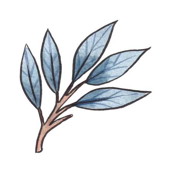 人工绘制的水彩画蓝色和绿松石小枝 叶子和芽 白色背景隔离 — 图库照片