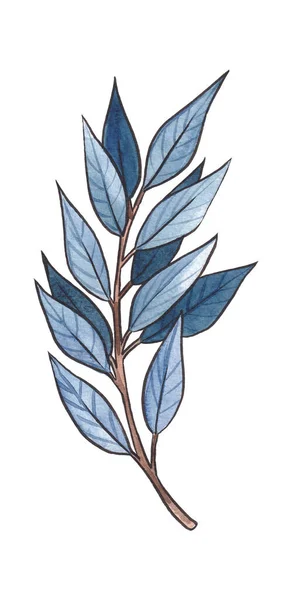 Yapımı Suluboya Mavi Tturquoise Dalları Yaprakları Tomurcukları Beyaz Arkaplanda Izole — Stok fotoğraf