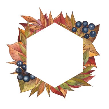 Süsleme için suluboya çerçeveler. Sonbahar altını, portakal, bordo, kahverengi ve kırmızı yapraklar, sonbahar meyveleri ve dallar