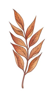Sonbahar altını, turuncu, bordo, kahverengi ve kırmızı yapraklar.