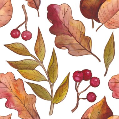 Suluboya sonbahar pürüzsüz desen. Altın, portakal, bordo, kahverengi ve kırmızı yapraklar ve sonbahar meyveleri