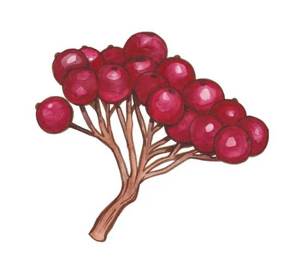 Sonbahar altını, turuncu, bordo, kahverengi ve kırmızı yapraklar.