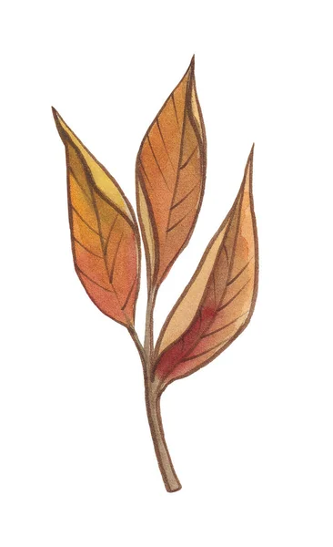 Aquarell Herbstgold Orange Burgunder Braune Und Rote Blätter — Stockfoto