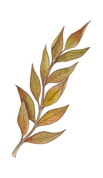 Sonbahar Altını Turuncu Bordo Kahverengi Kırmızı Yapraklar — Stok fotoğraf