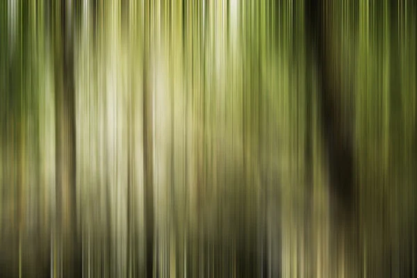 Bosque colorido, movimiento borroso — Foto de Stock