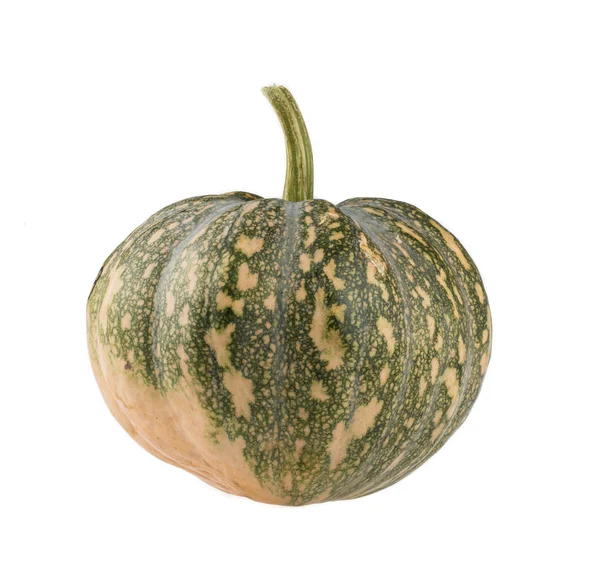 Zucca oltre bianco backgound — Foto Stock