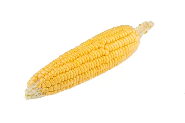 甜玉米在白色的背景 — 图库照片