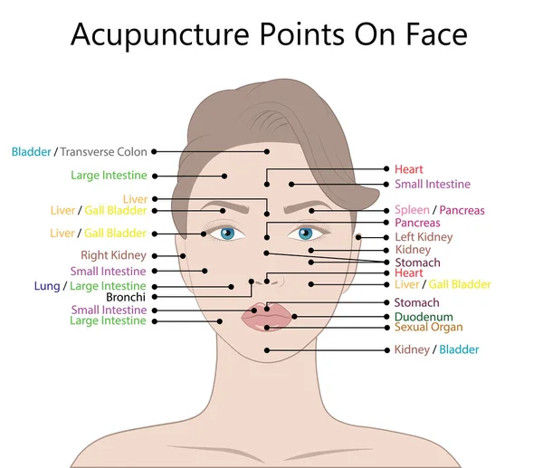 Active Acupuncture Points Face Vector Illustration Isolated White Background — Stock Vector