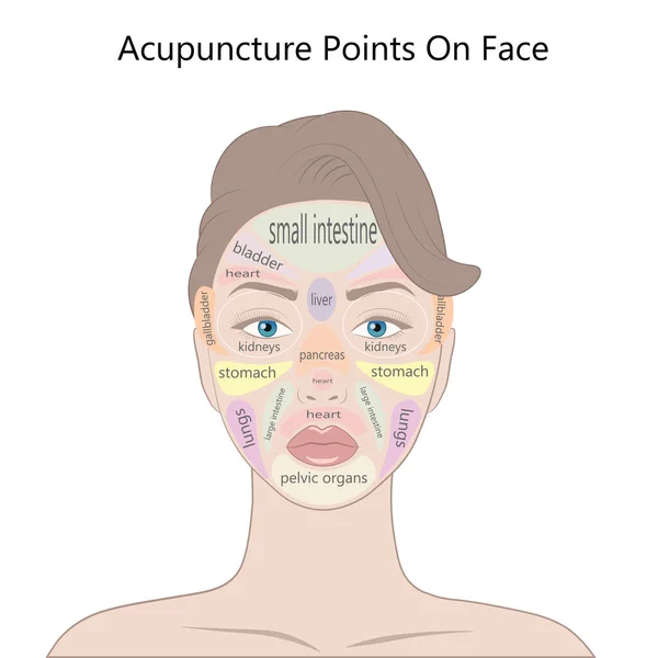 Active Acupuncture Points Face Vector Illustration Isolated White Background — Stock Vector