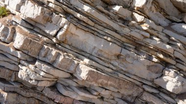 Sahildeki büyük bir kayanın çok ilginç bir yüzeyi.