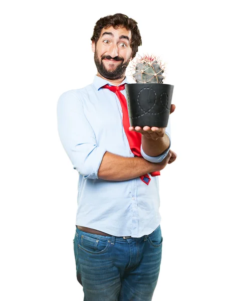 Gek zakenman met cactus in pot — Stockfoto