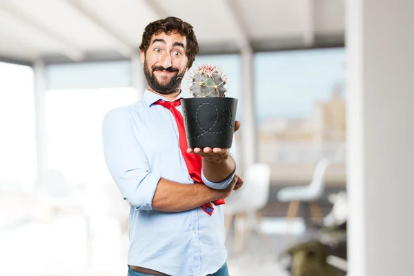 Crazy affärsman med kaktus i kruka — Stockfoto