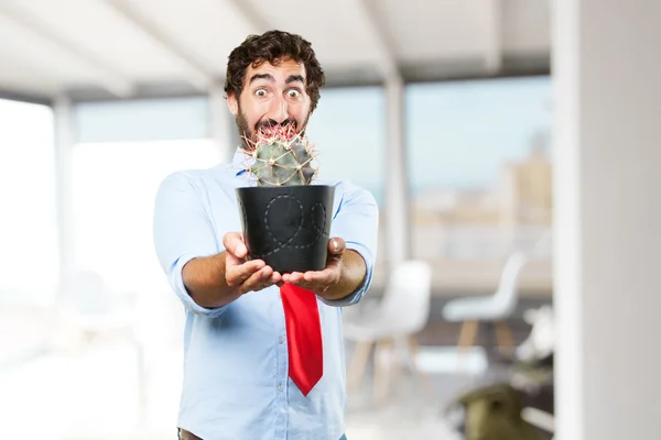 Crazy businessman with cactus in pot — Stock Photo, Image