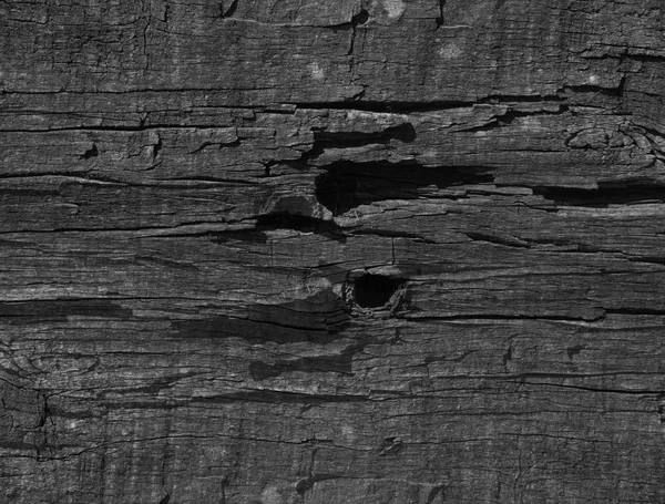 Sfondo texture in legno — Foto Stock