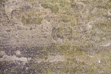 Taş dokusu arkaplanı